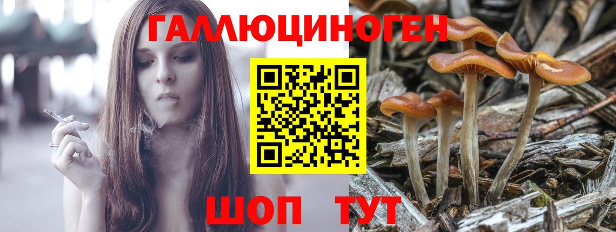 Красногорск  Галлюциногенные грибы мухоморы  Вход с VPN 
