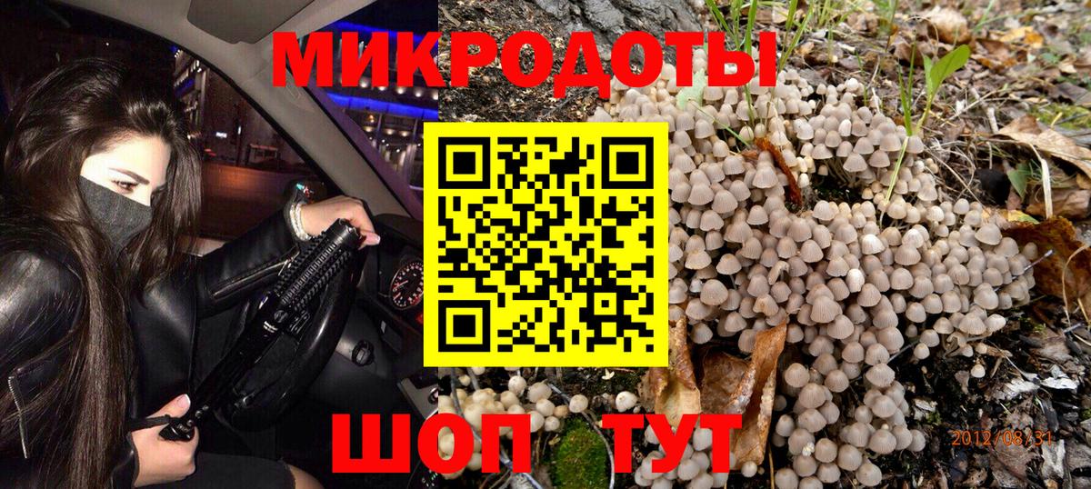 Галлюциногенные грибы мухоморы Красногорск